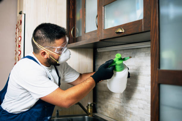 Best Pest Prevention Services  in Aspermont, TX