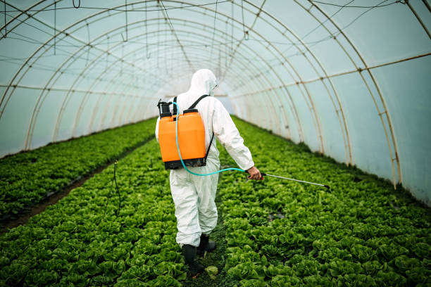 Best Affordable Pest Control Services  in Aspermont, TX