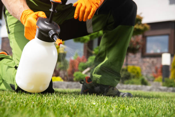 Best Pest Control for Businesses  in Aspermont, TX
