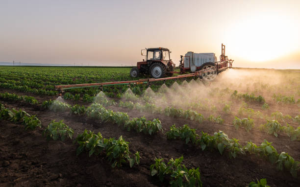 Insect Control in Aspermont, TX
