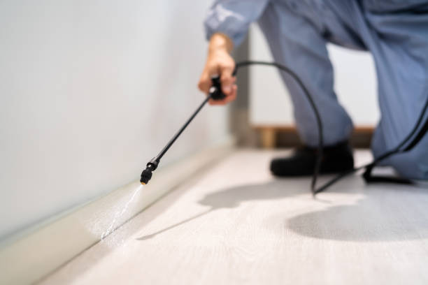 Best Pest Prevention Services  in Aspermont, TX