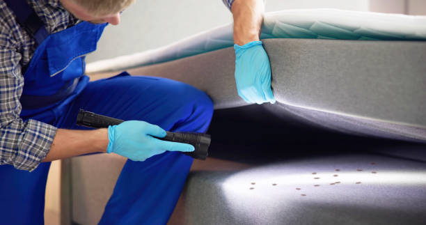 Best Pest Inspection Near Me  in Aspermont, TX