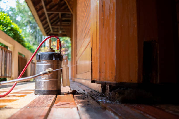 Best Mosquito Control Services  in Aspermont, TX