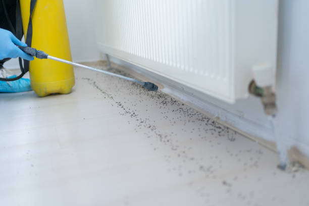 Best Emergency Pest Control  in Aspermont, TX