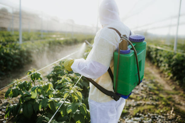 Best Rodent Control Near Me  in Aspermont, TX
